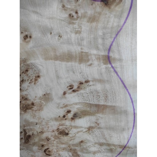Burl Poplar