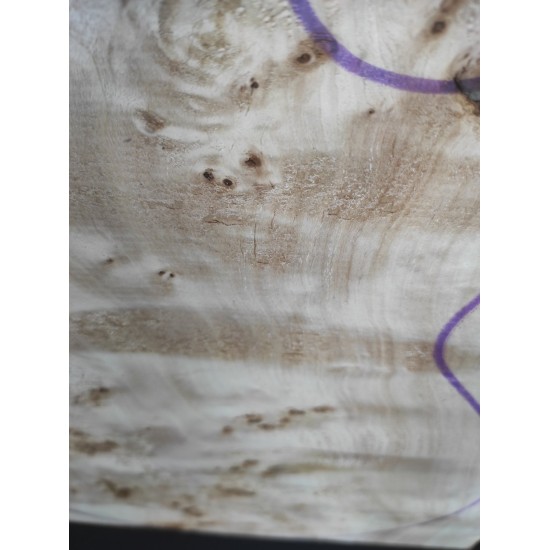 Burl Poplar