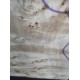 Burl Poplar