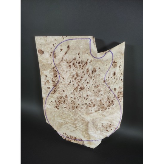 Burl Poplar