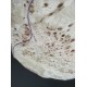 Burl Poplar