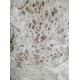 Burl Poplar