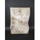 Burl Poplar
