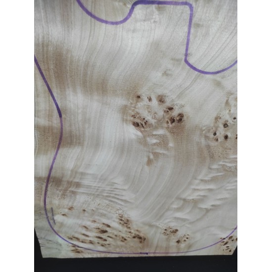 Burl Poplar