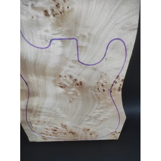 Burl Poplar