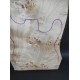 Burl Poplar