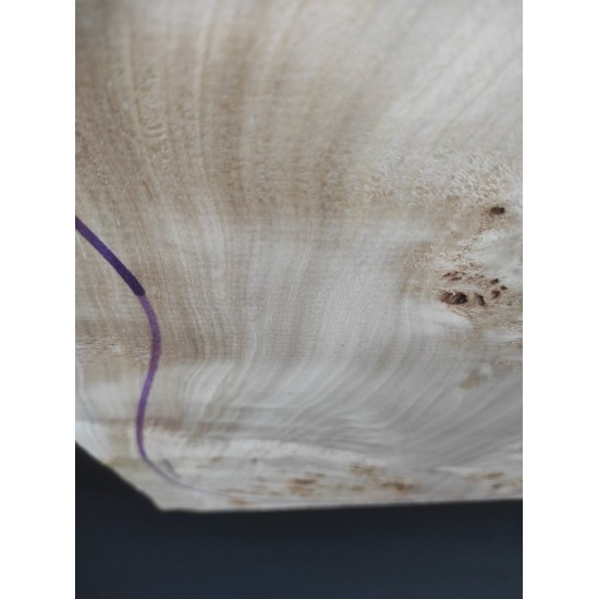 Burl Poplar