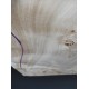 Burl Poplar