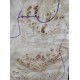 Burl Poplar