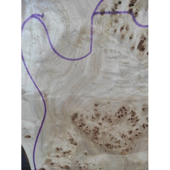 Burl Poplar