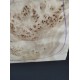 Burl Poplar