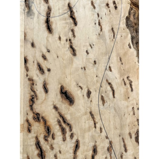 Burl Poplar | Drop Top
