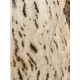 Burl Poplar | Drop Top