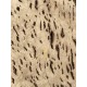 Burl Poplar | Drop Top