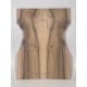 Walnut | Drop Top