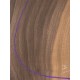 Walnut | Drop Top