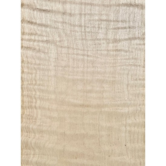 Figured Maple