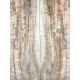 Figured Poplar | Drop Top