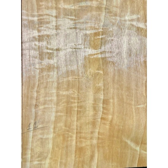 Figured Poplar | Drop Top
