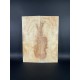 Figured Poplar | Drop Top