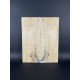 Figured Poplar | Drop Top