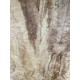 Figured Poplar | Drop Top