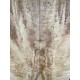 Figured Poplar | Drop Top