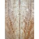 Figured Poplar | Drop Top