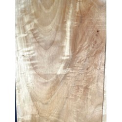 Figured Poplar | Drop Top