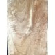 Figured Poplar | Drop Top