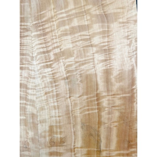 Figured Poplar | Drop Top