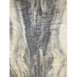 Figured Poplar | Drop Top