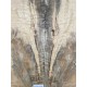 Figured Poplar | Carved Top