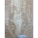 Figured Poplar | Back & Sides for Guitar