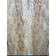 Figured Poplar | Back & Sides for Guitar
