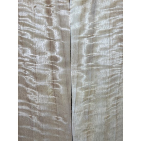 Figured Poplar | Back & Sides for Guitar