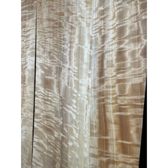 Figured Poplar | Back & Sides for Guitar