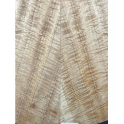 Figured Poplar | Back & Sides for Guitar