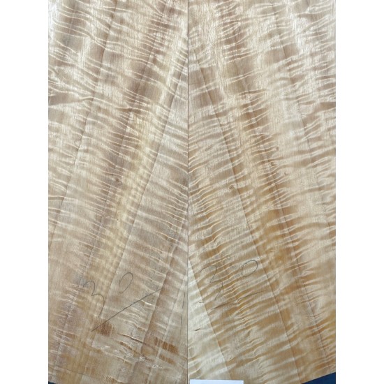 Figured Poplar | Back & Sides for Guitar