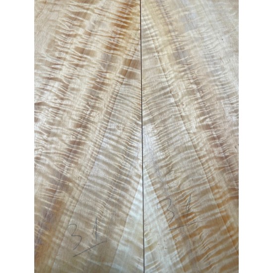 Figured Poplar | Back & Sides for Guitar