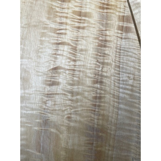 Figured Poplar | Back & Sides for Guitar