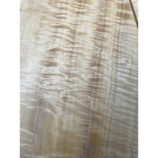 Figured Poplar | Back & Sides for Guitar