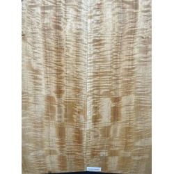 Figured Poplar | Back & Sides for Guitar