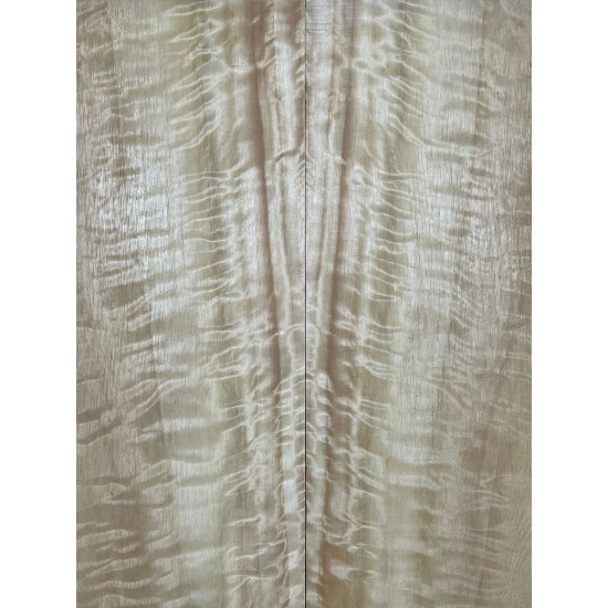 Figured Poplar | Back & Sides for Guitar