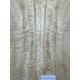 Figured Poplar | Back & Sides for Guitar