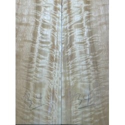 Figured Poplar | Back & Sides for Guitar