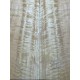 Figured Poplar | Back & Sides for Guitar