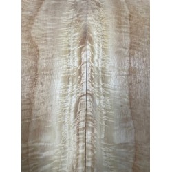 Figured Poplar | Back & Sides for Guitar