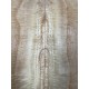 Figured Poplar | Back & Sides for Guitar