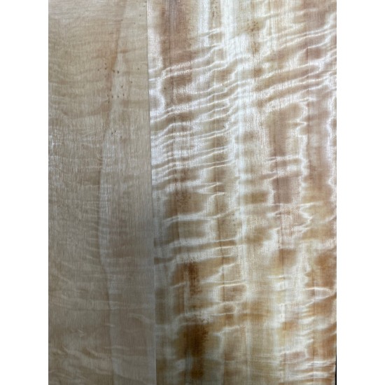 Figured Poplar | Back & Sides for Guitar